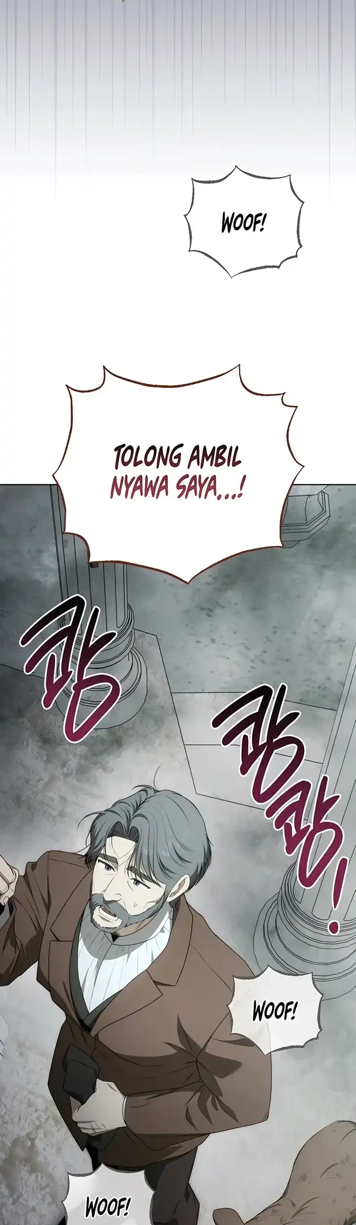 Halaman 43