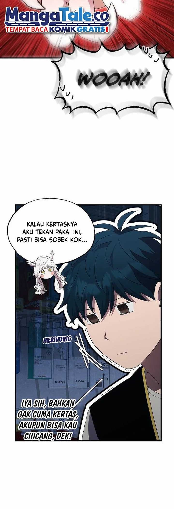 Halaman 17