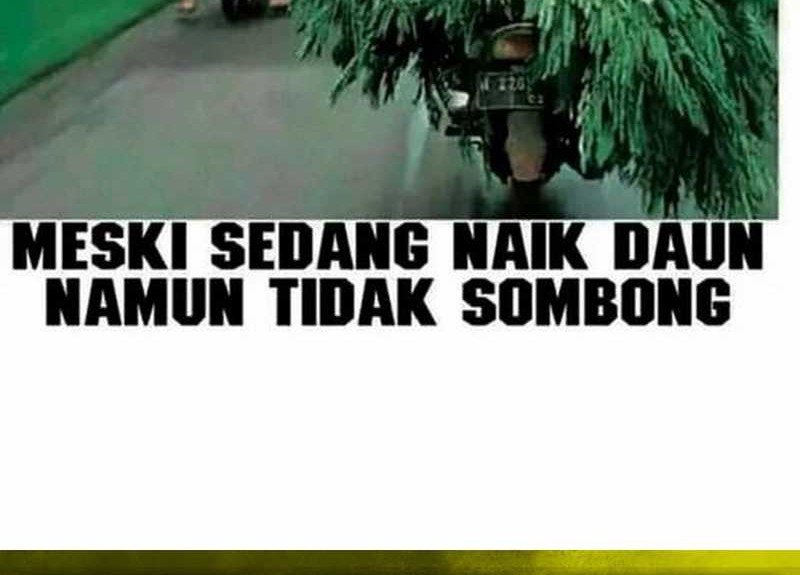 Halaman 172