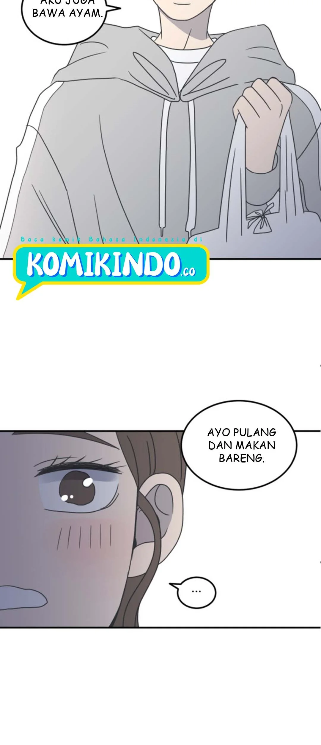 Halaman 29