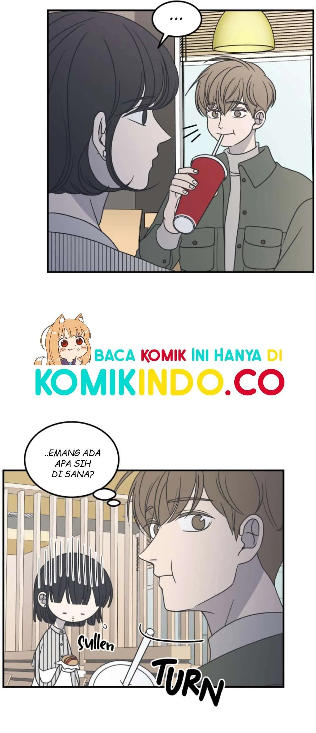 Halaman 17