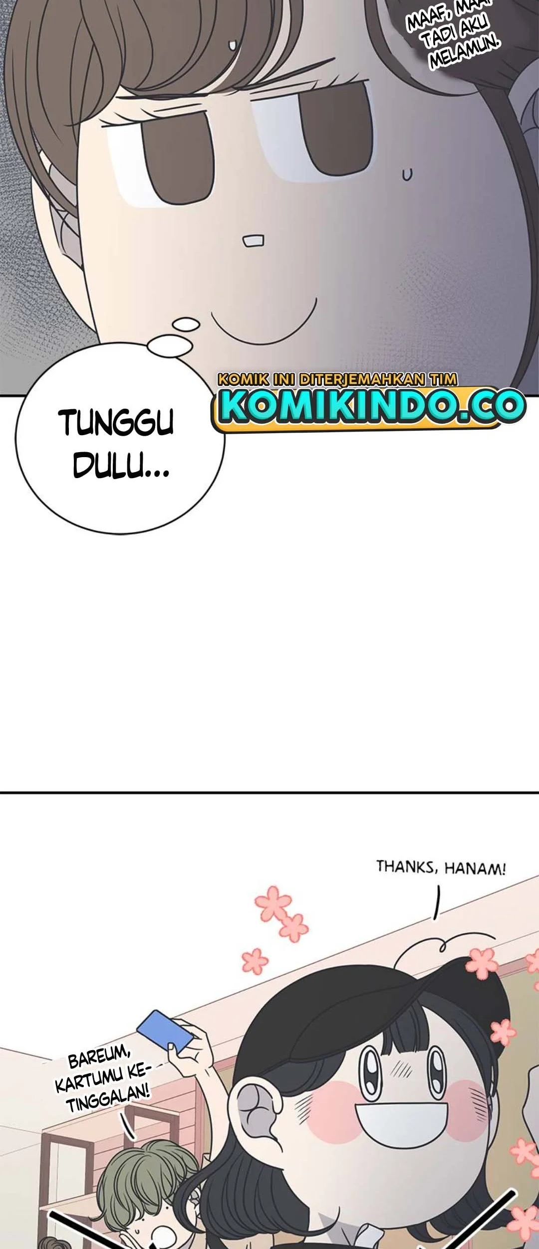 Halaman 17
