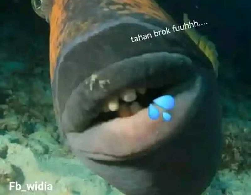 Halaman 431