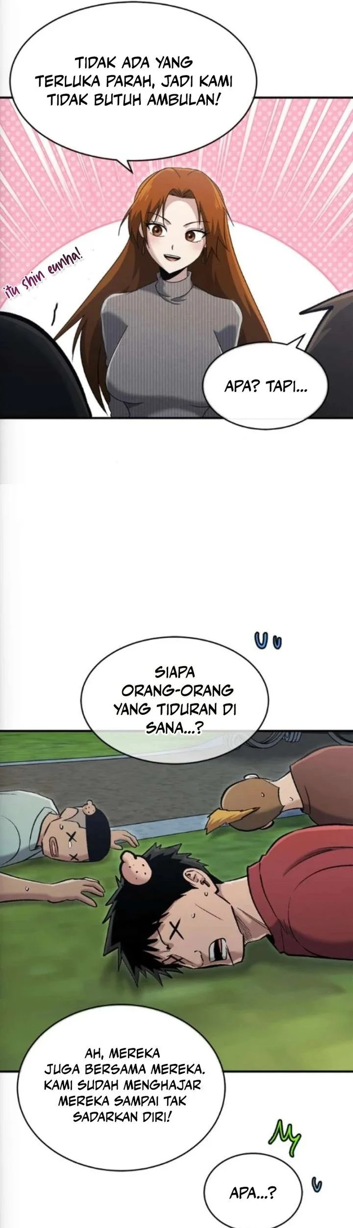 Halaman 43