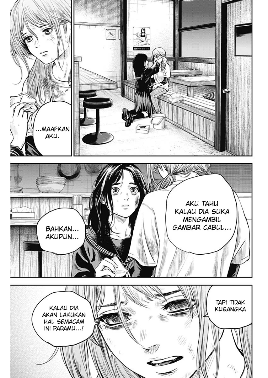 Halaman 17