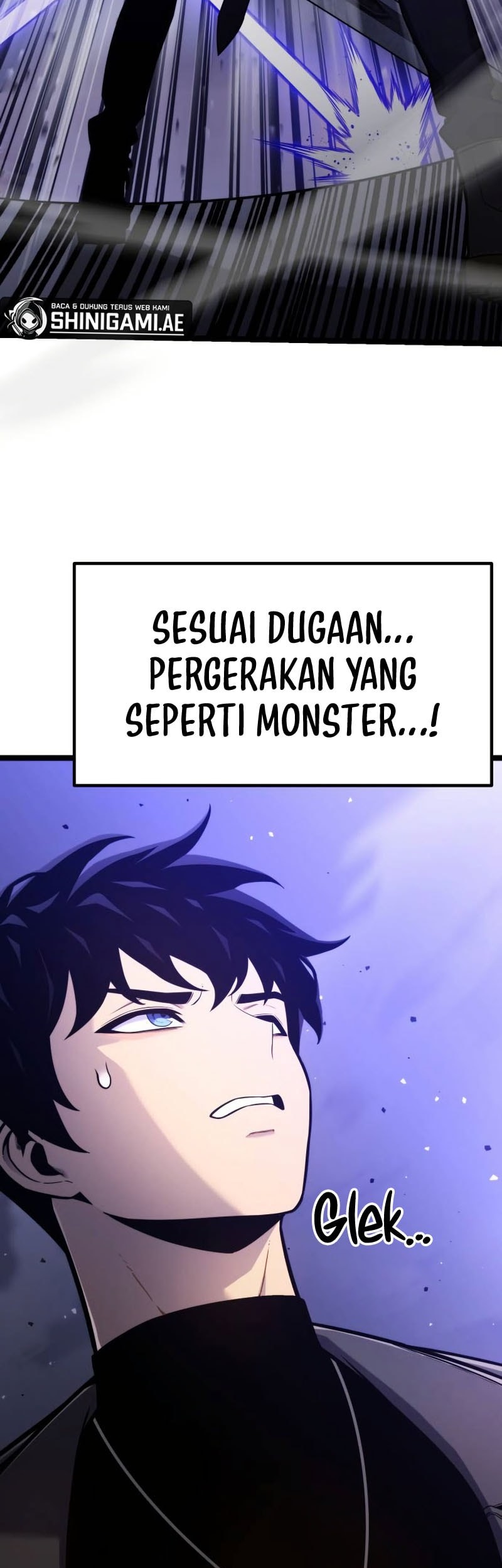 Halaman 251
