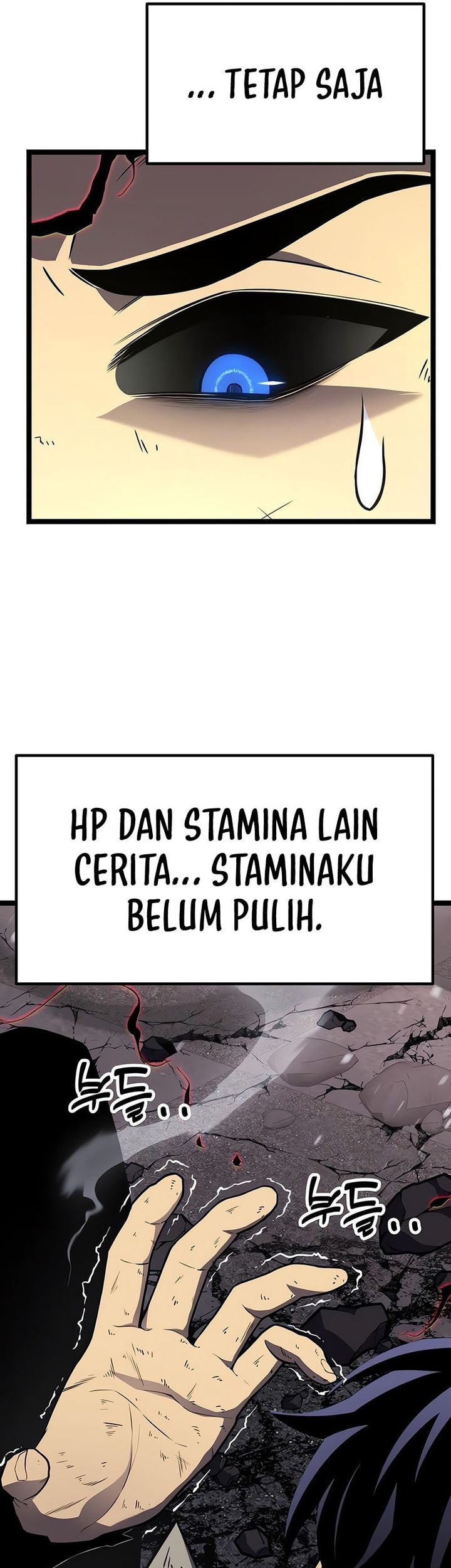 Halaman 243
