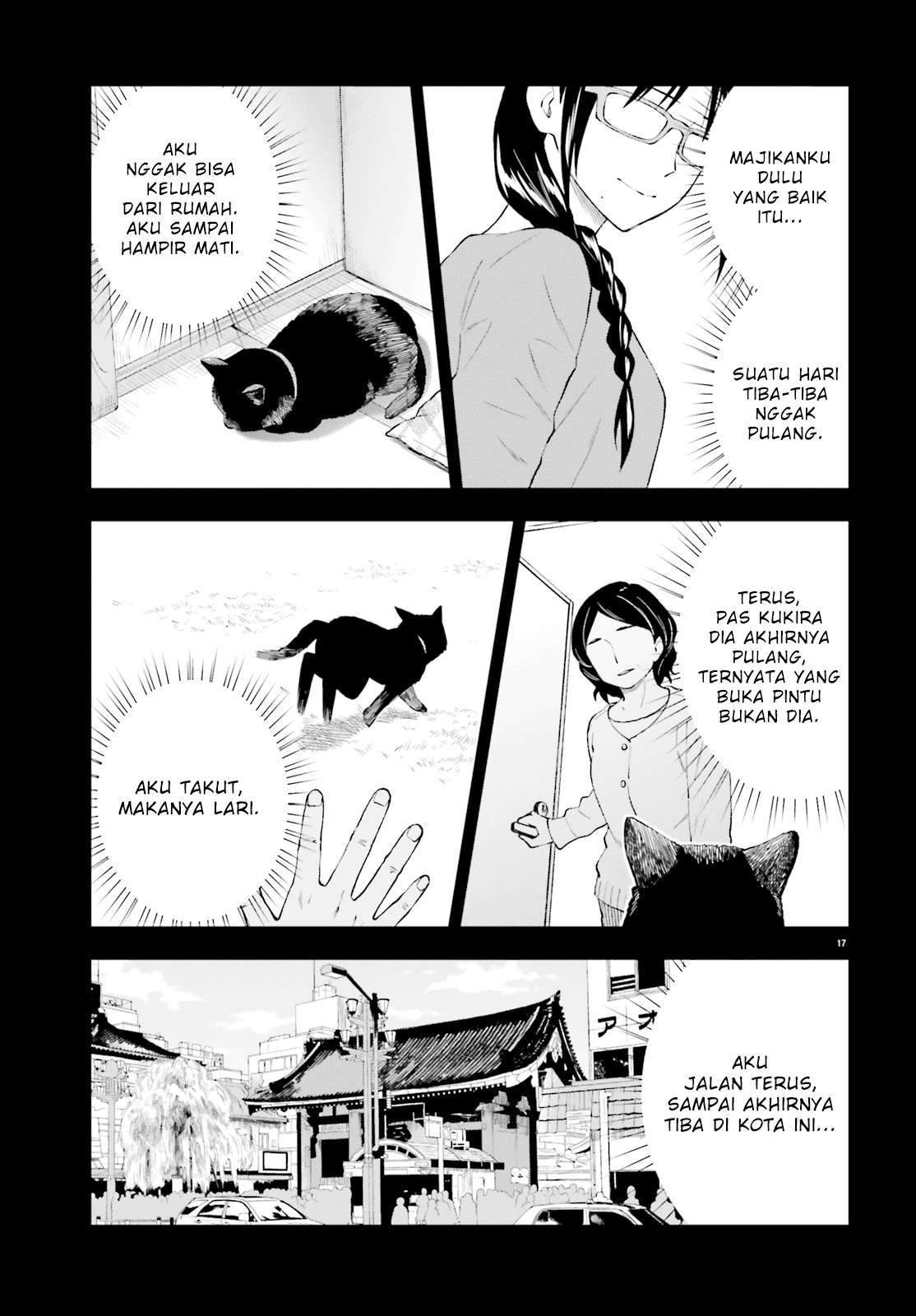 Halaman 17