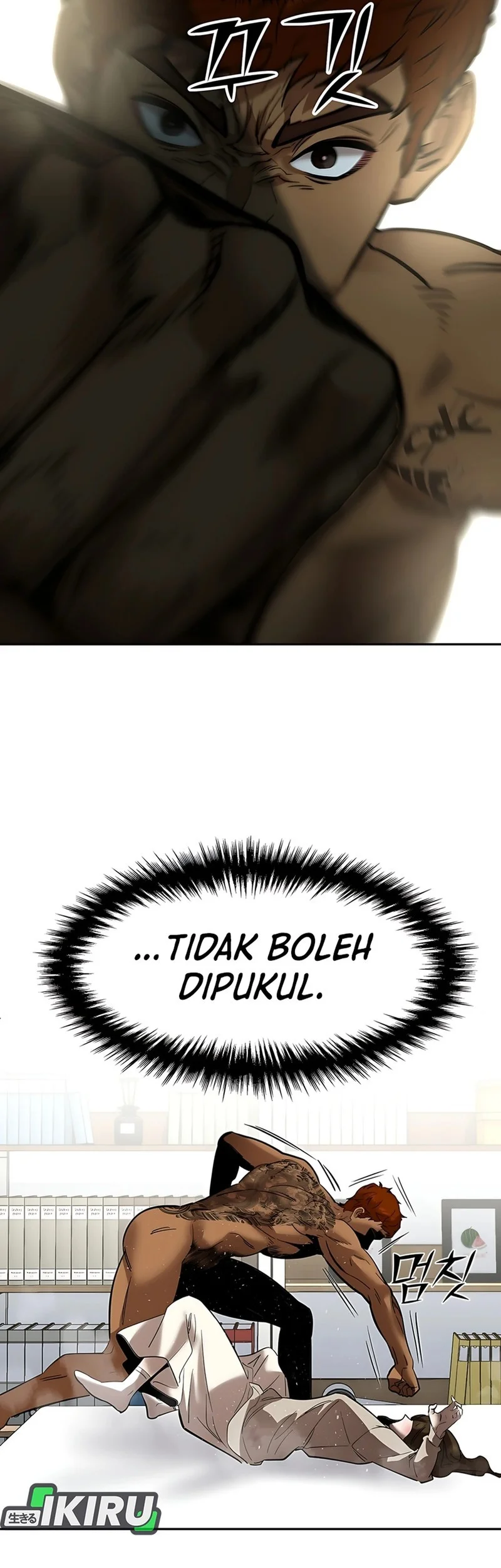 Halaman 43