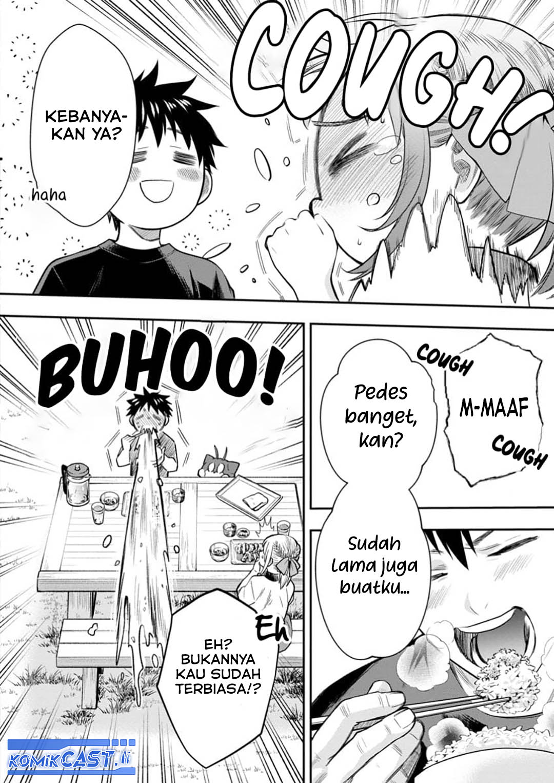 Halaman 17
