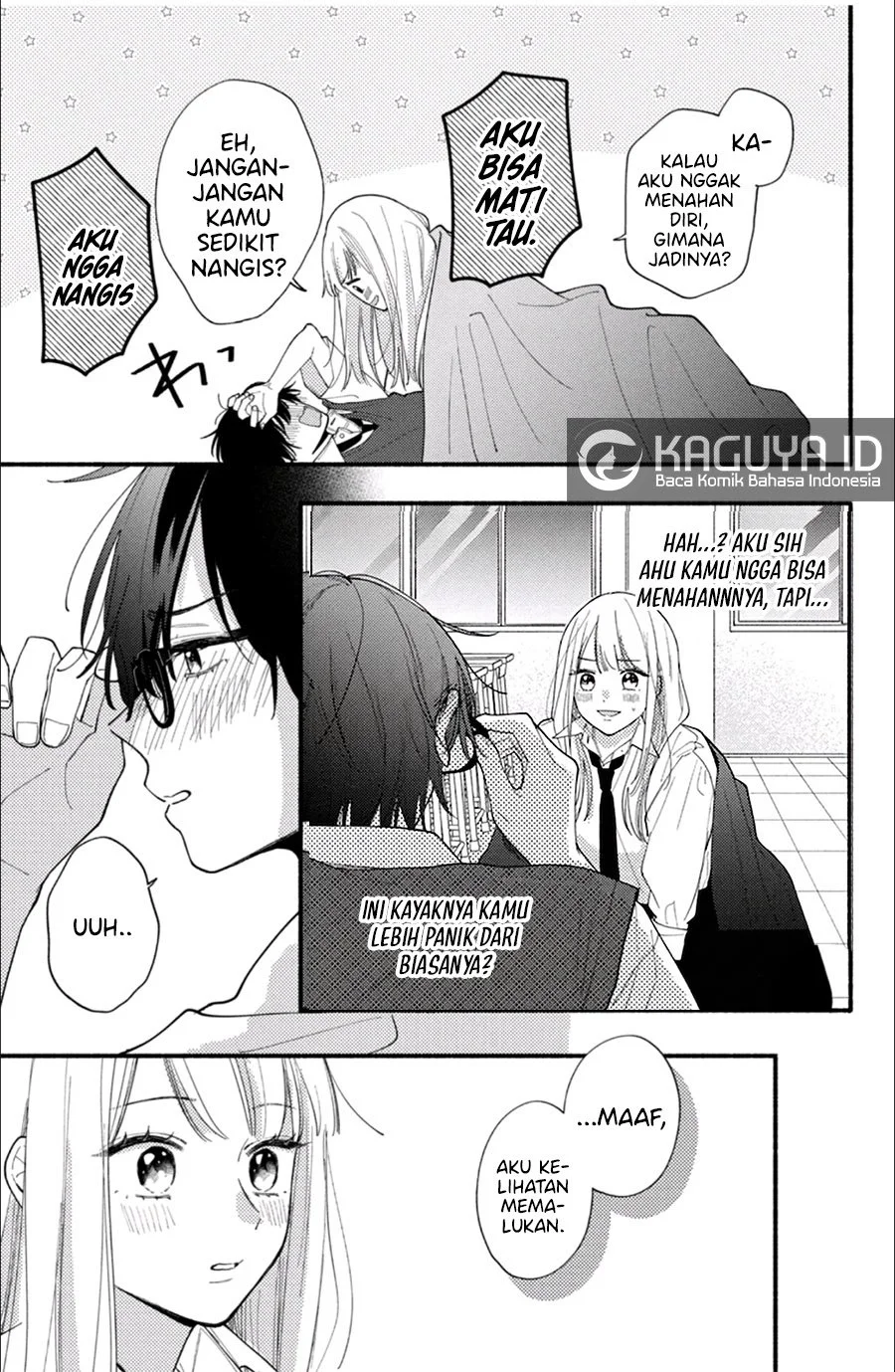 Halaman 17