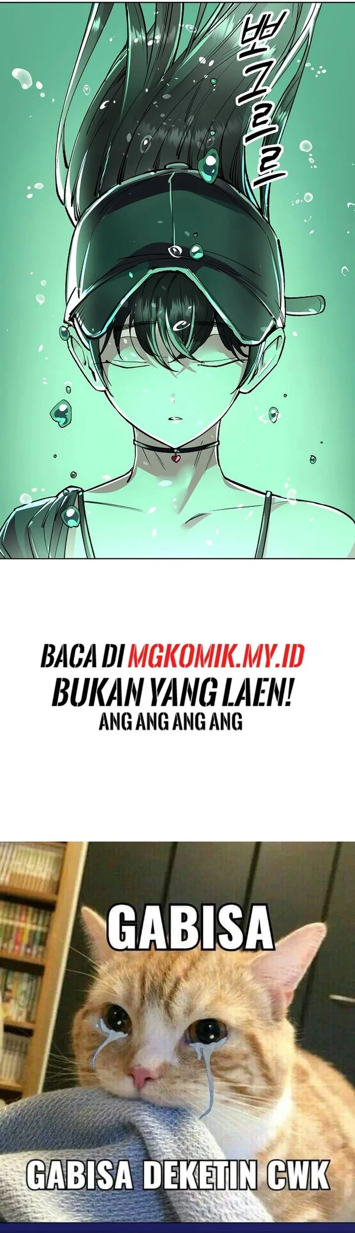 Halaman 443