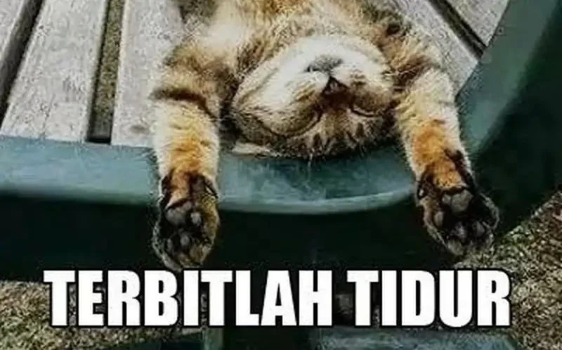 Halaman 92