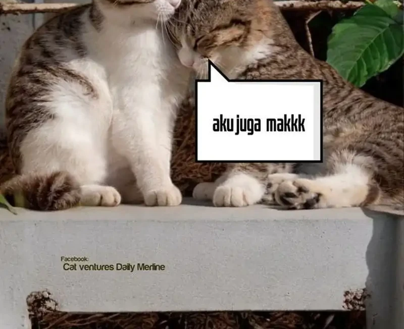 Halaman 137