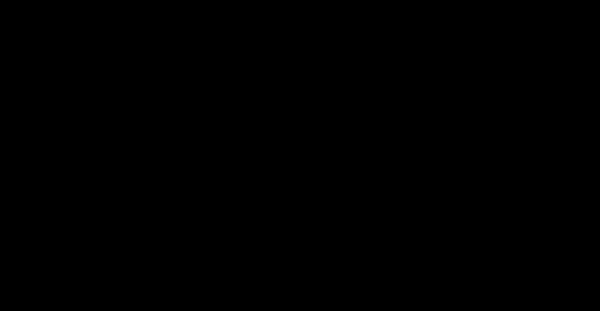 Halaman 174