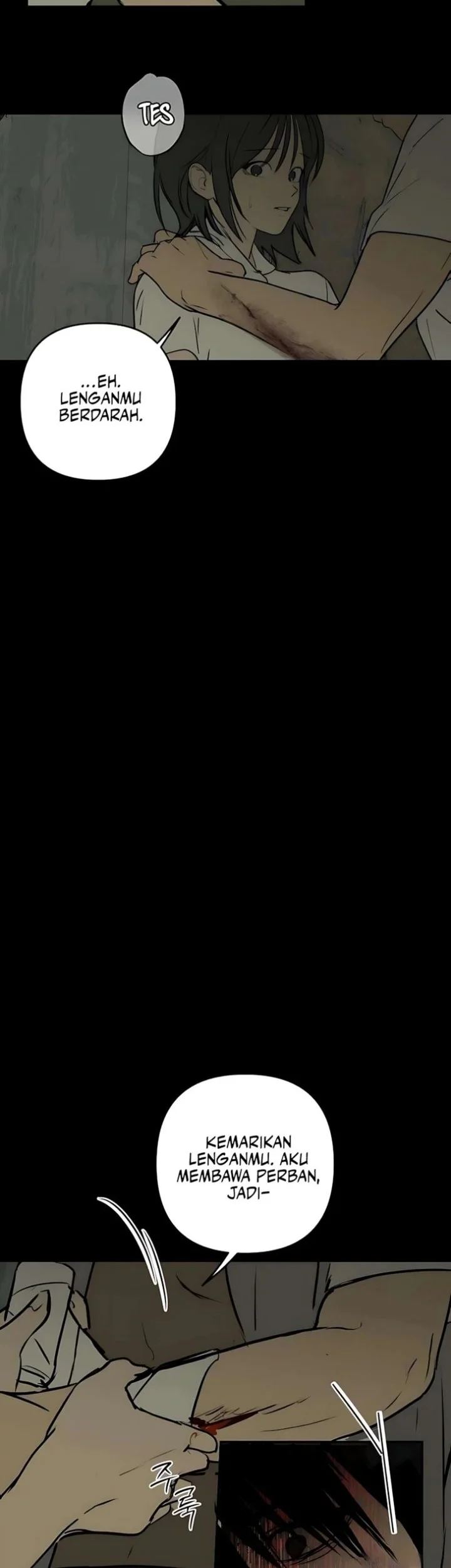 Halaman 245