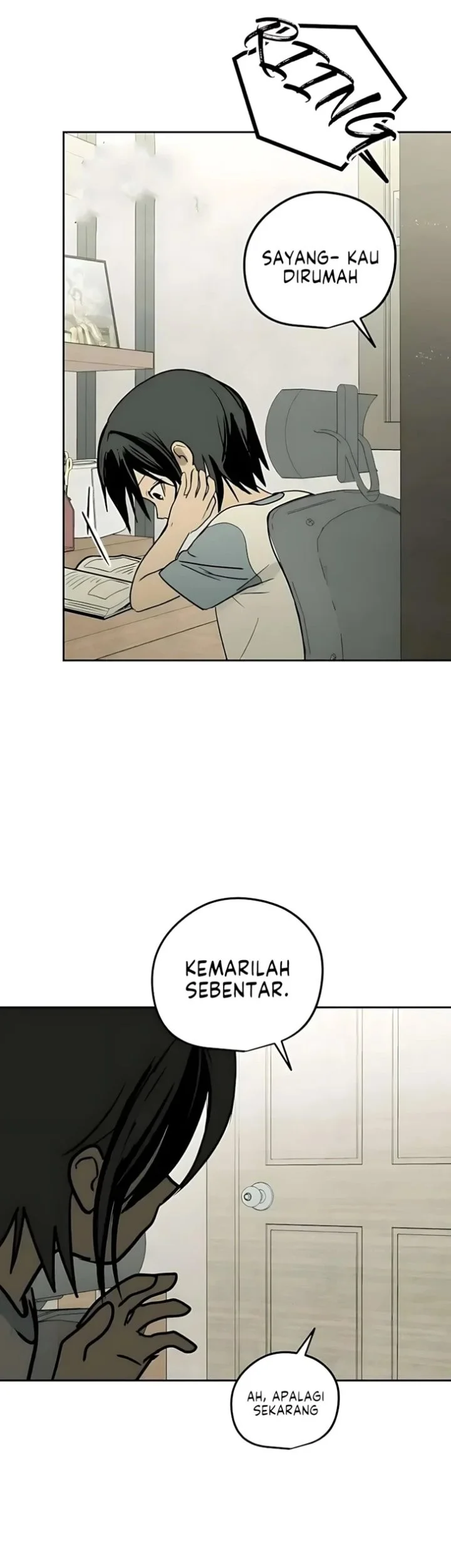 Halaman 24
