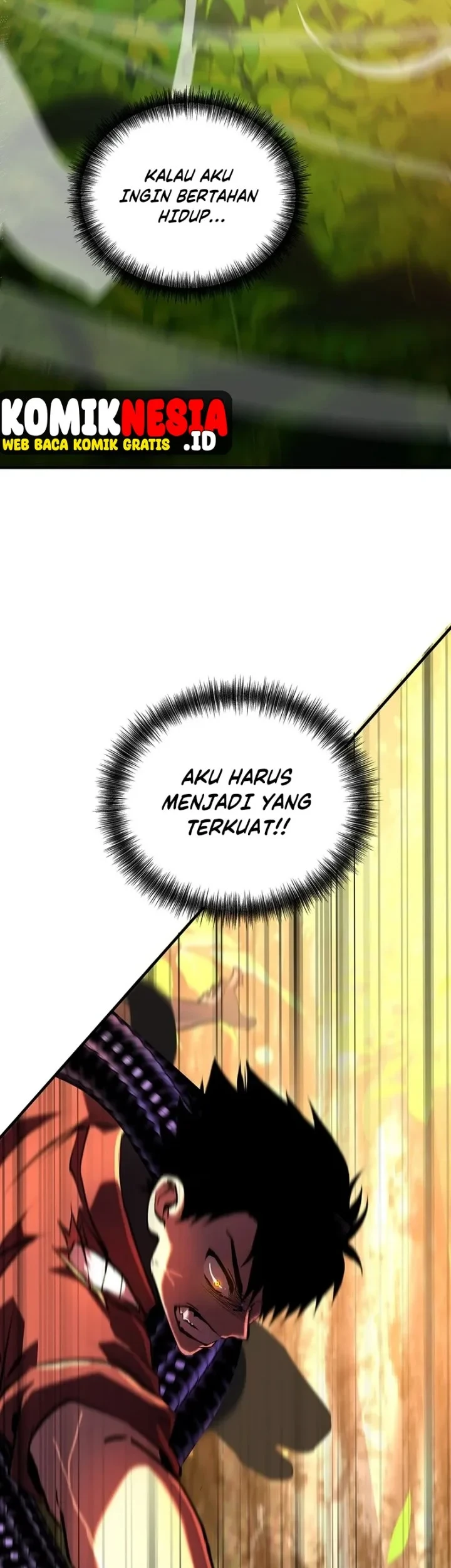 Halaman 55