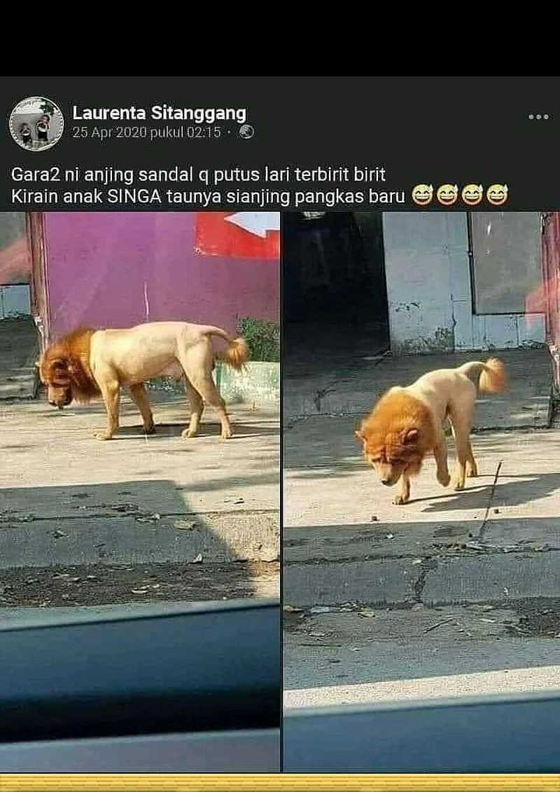 Halaman 308