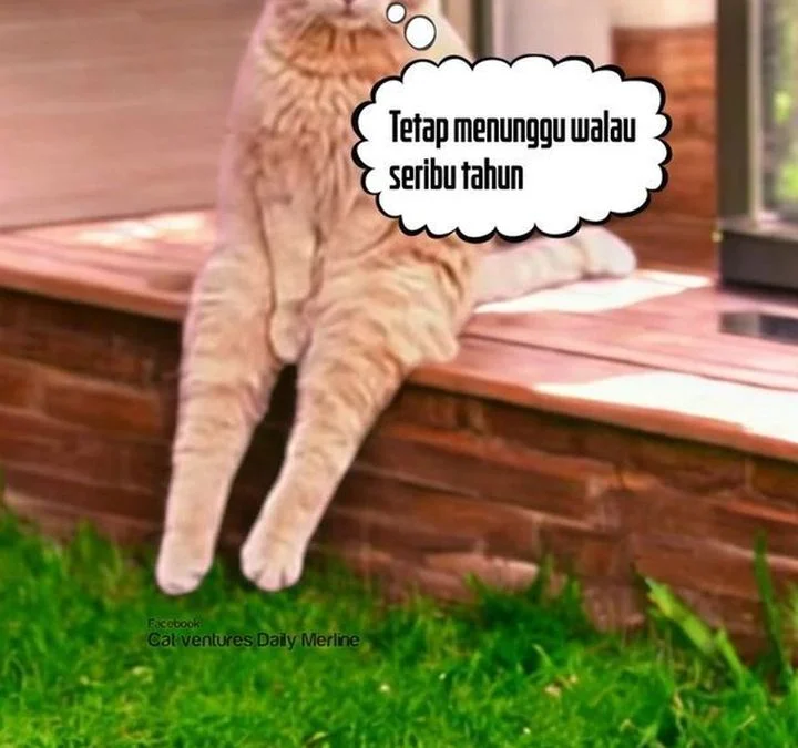 Halaman 217