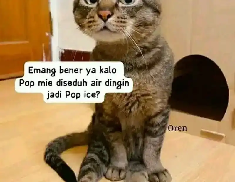 Halaman 296
