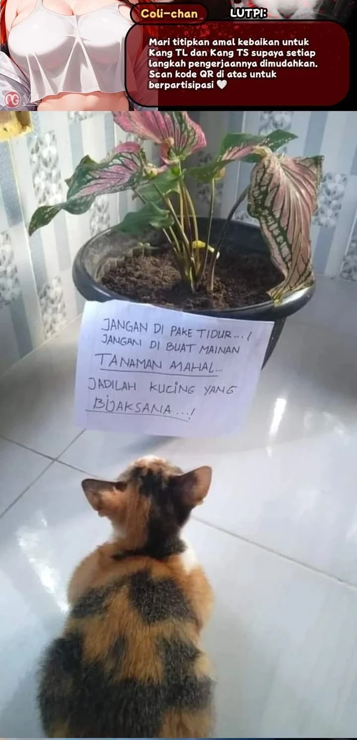 Halaman 141