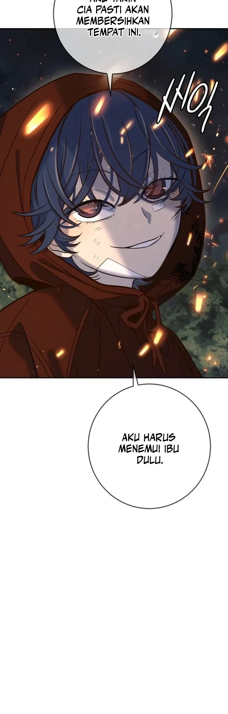 Halaman 265