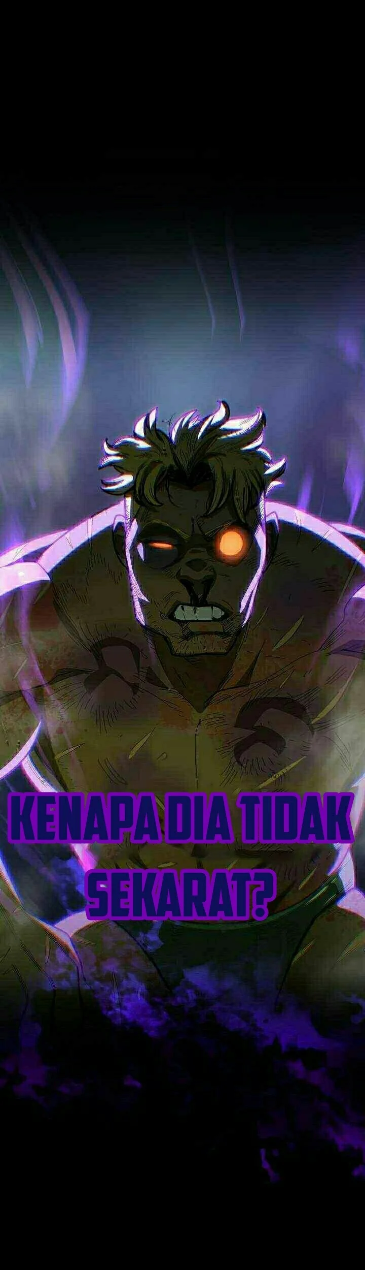 Halaman 245