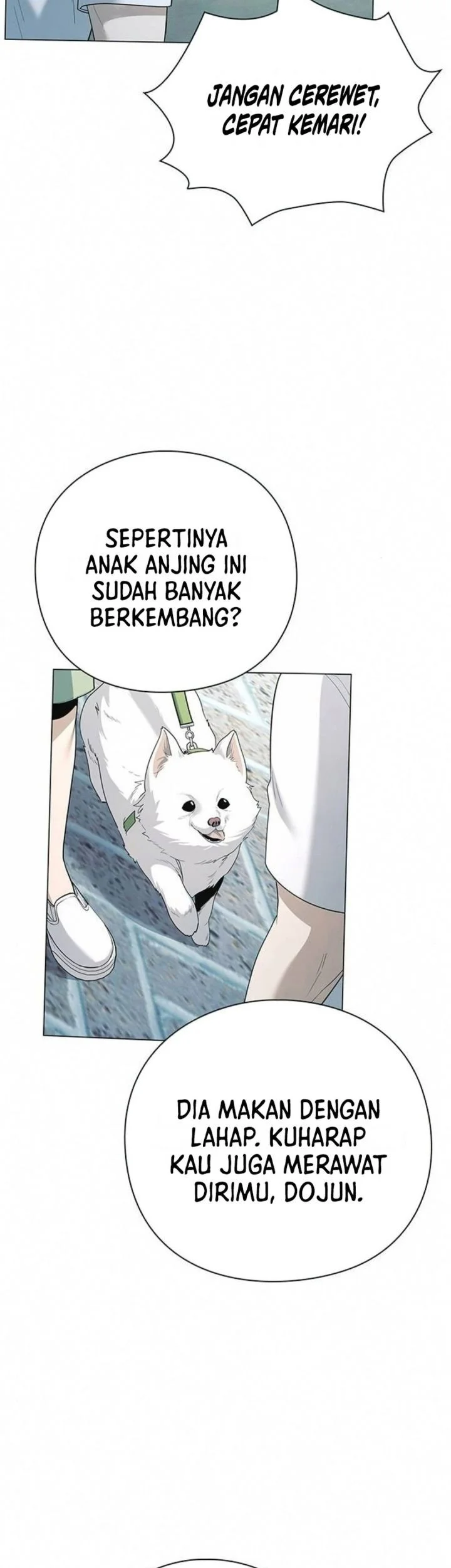 Halaman 141