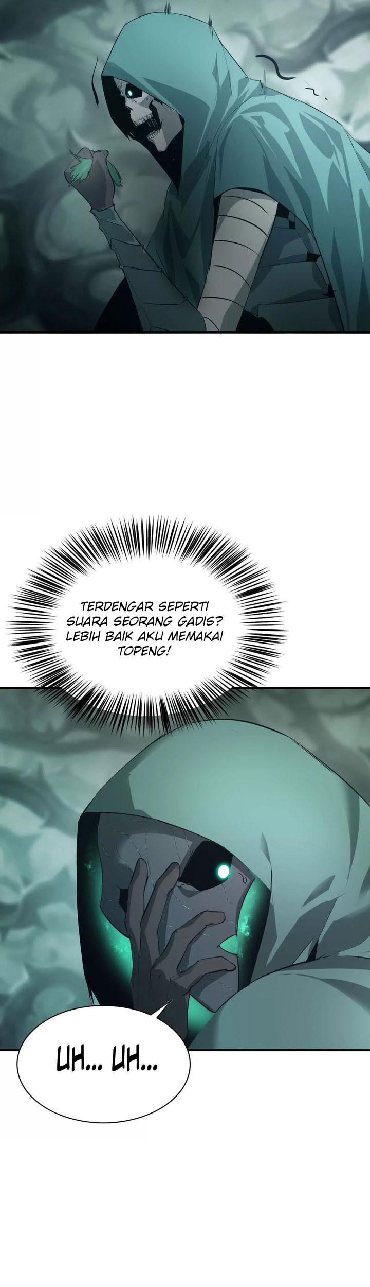 Halaman 17