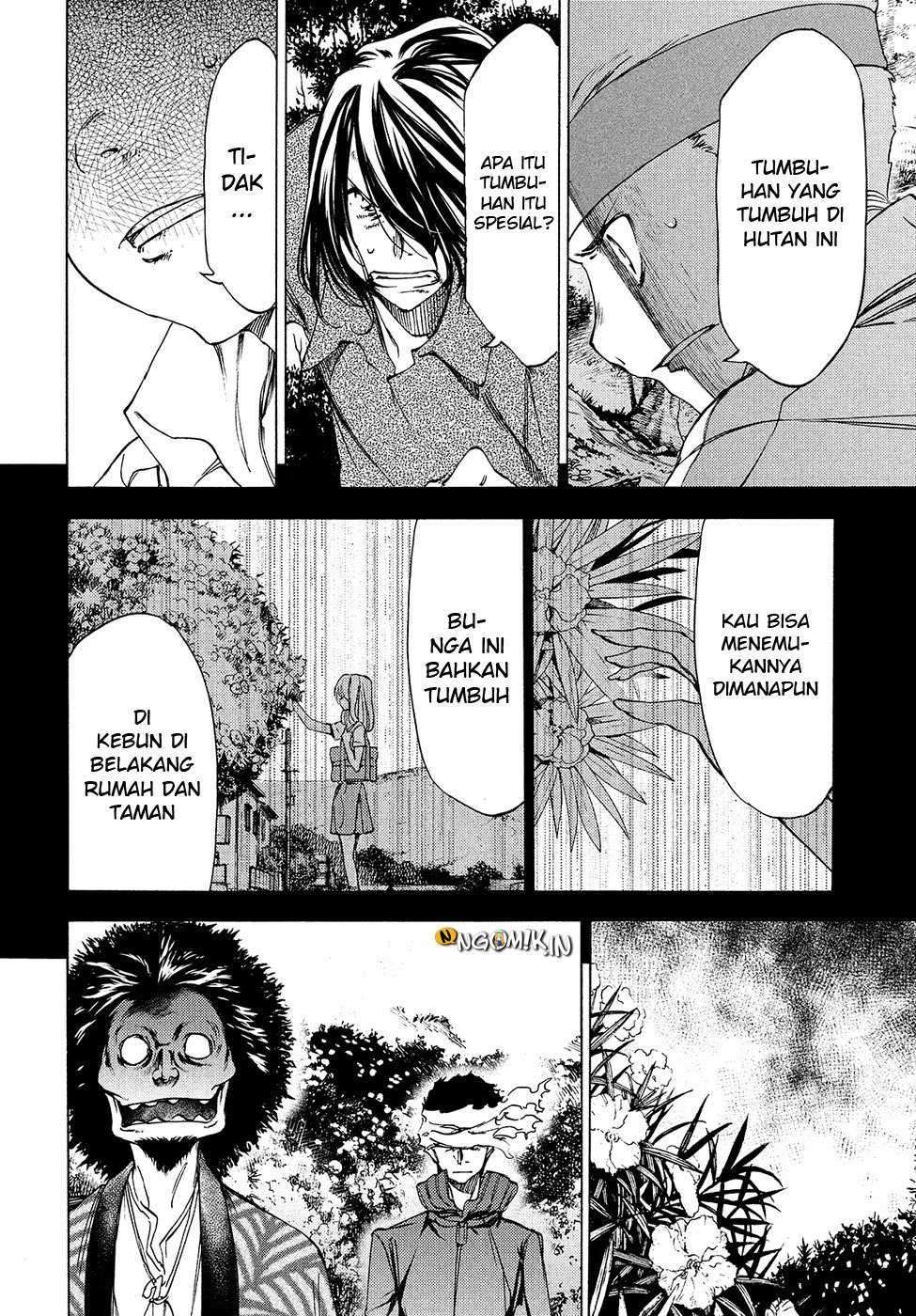 Halaman 24
