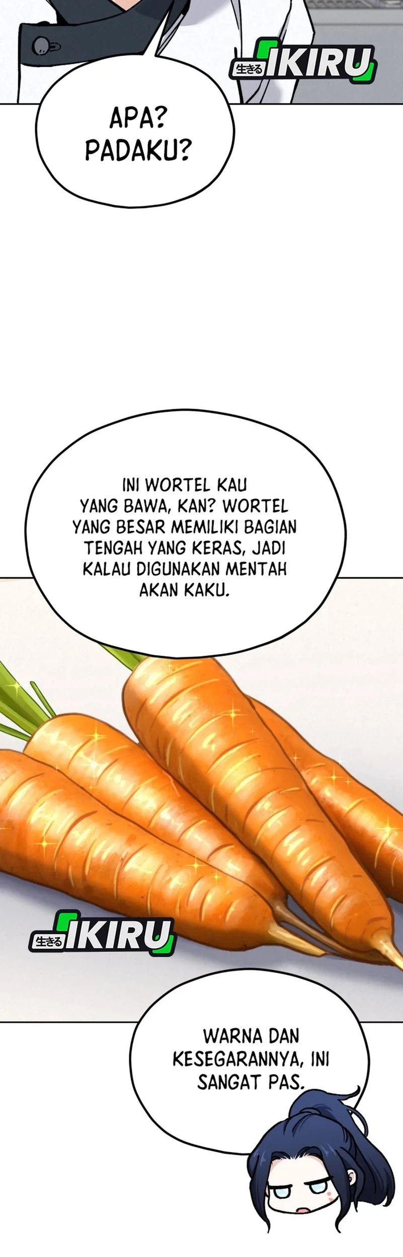 Halaman 207