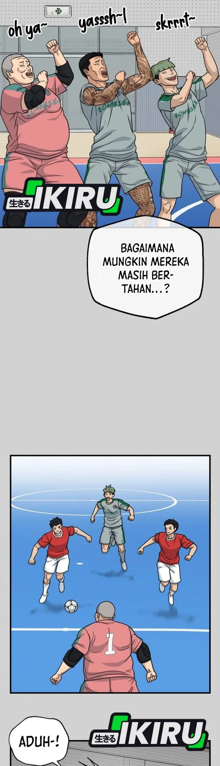 Halaman 17
