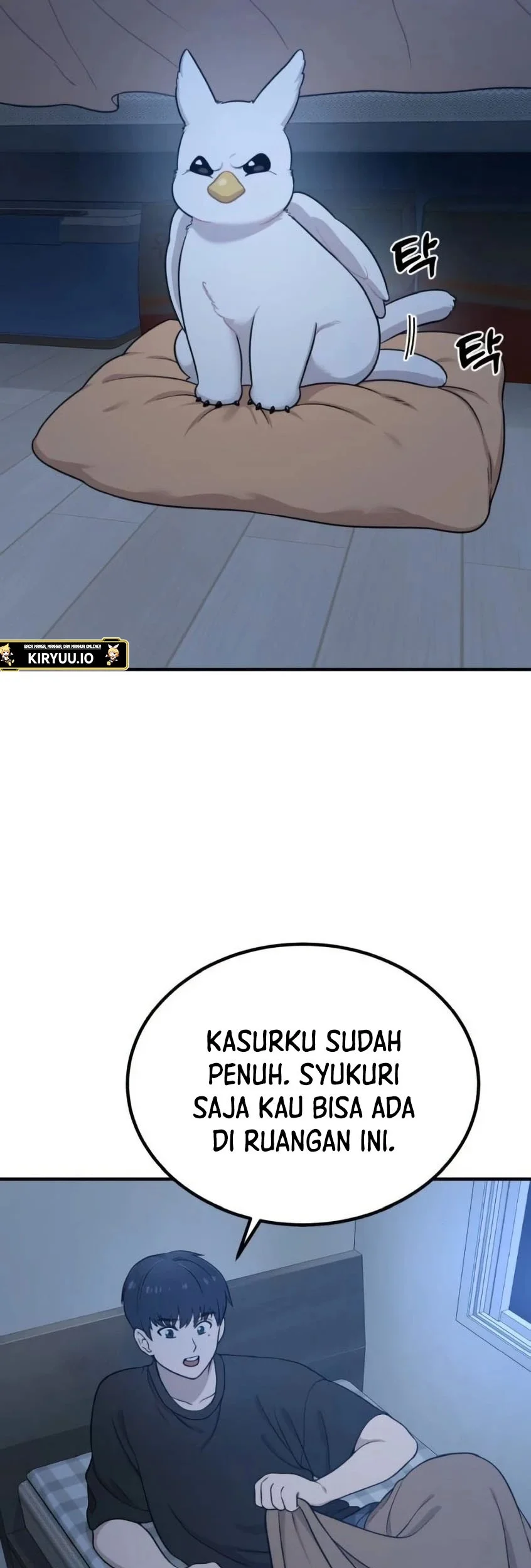 Halaman 508