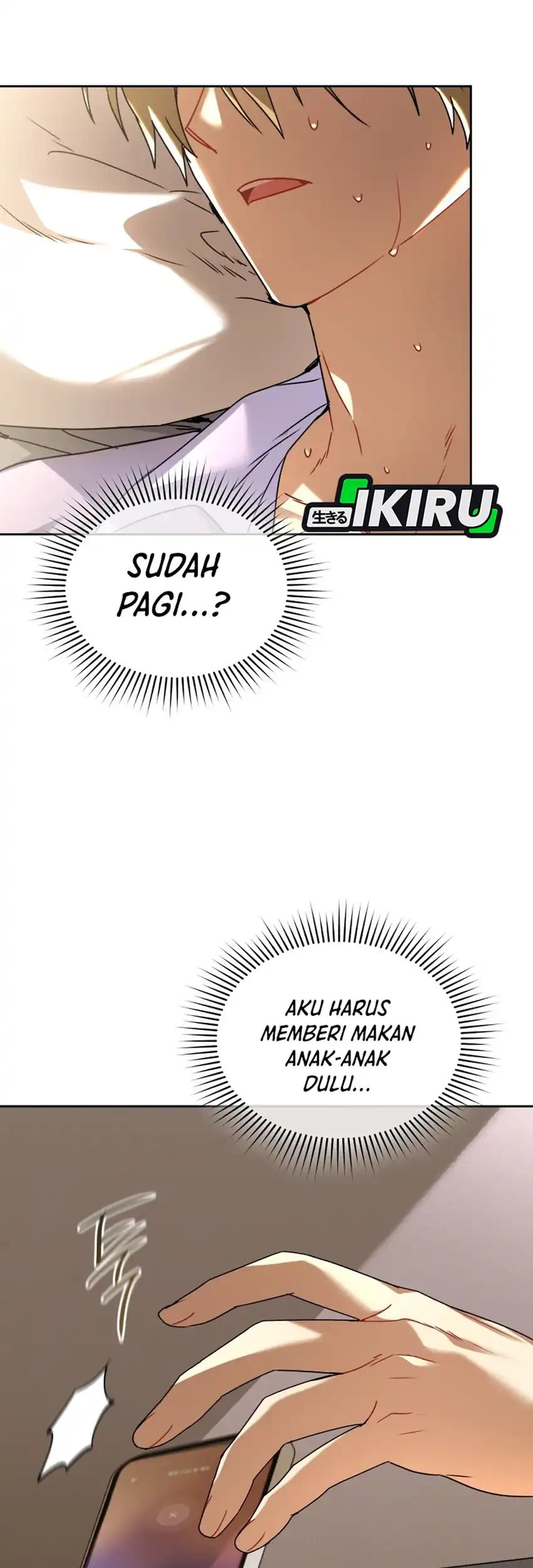 Halaman 17