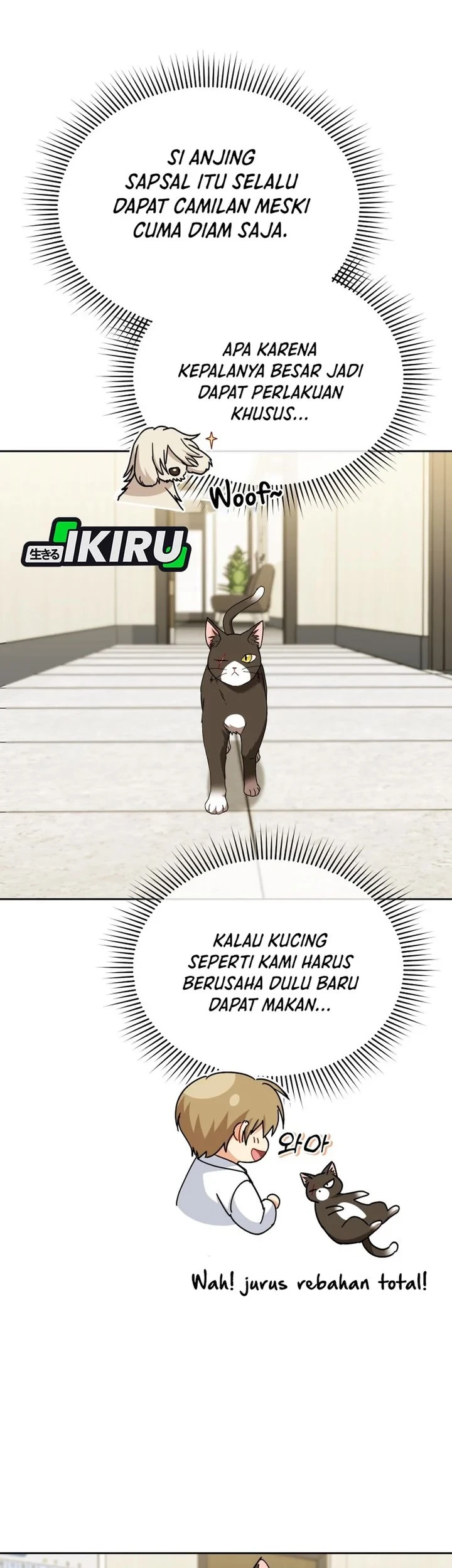 Halaman 51
