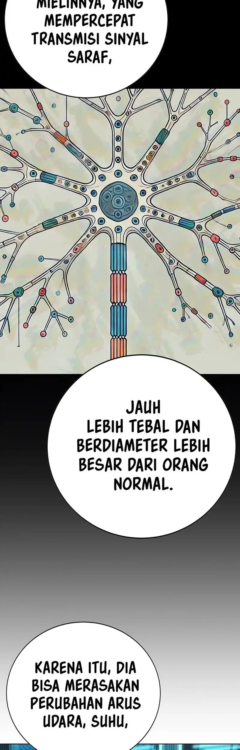 Halaman 307