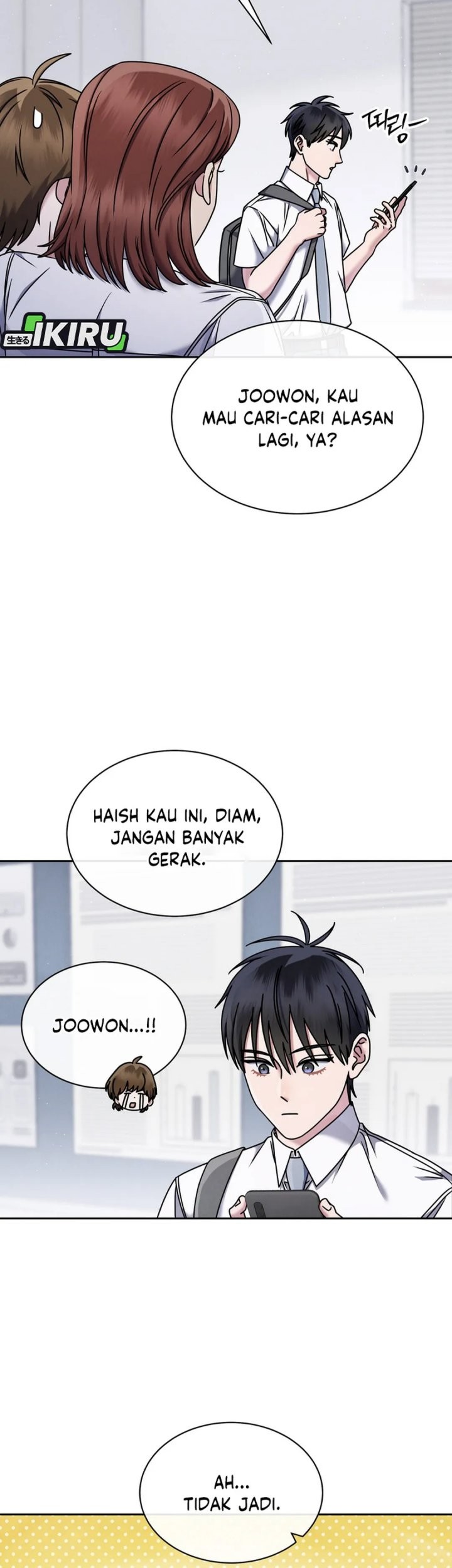 Halaman 17
