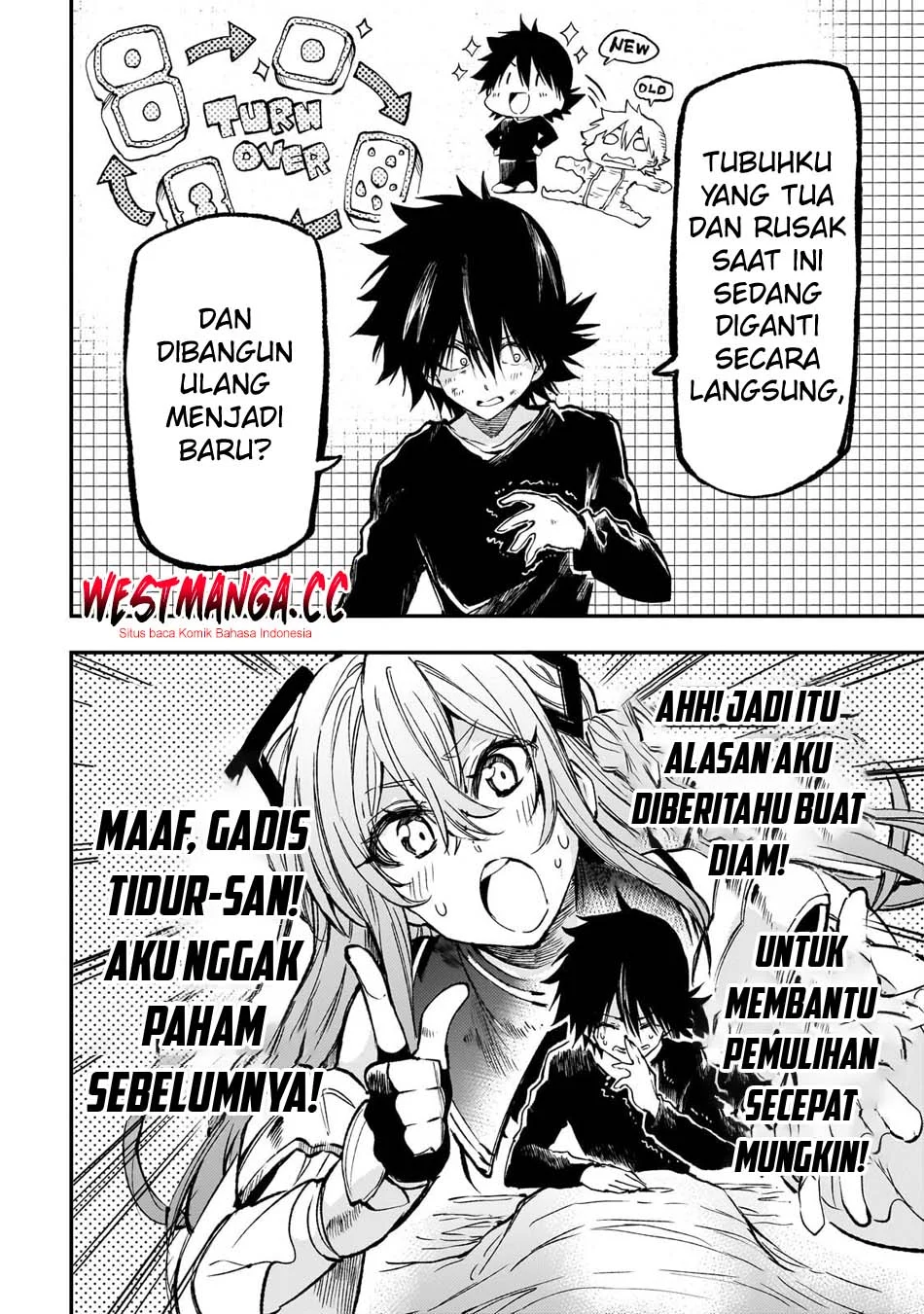 Halaman 13