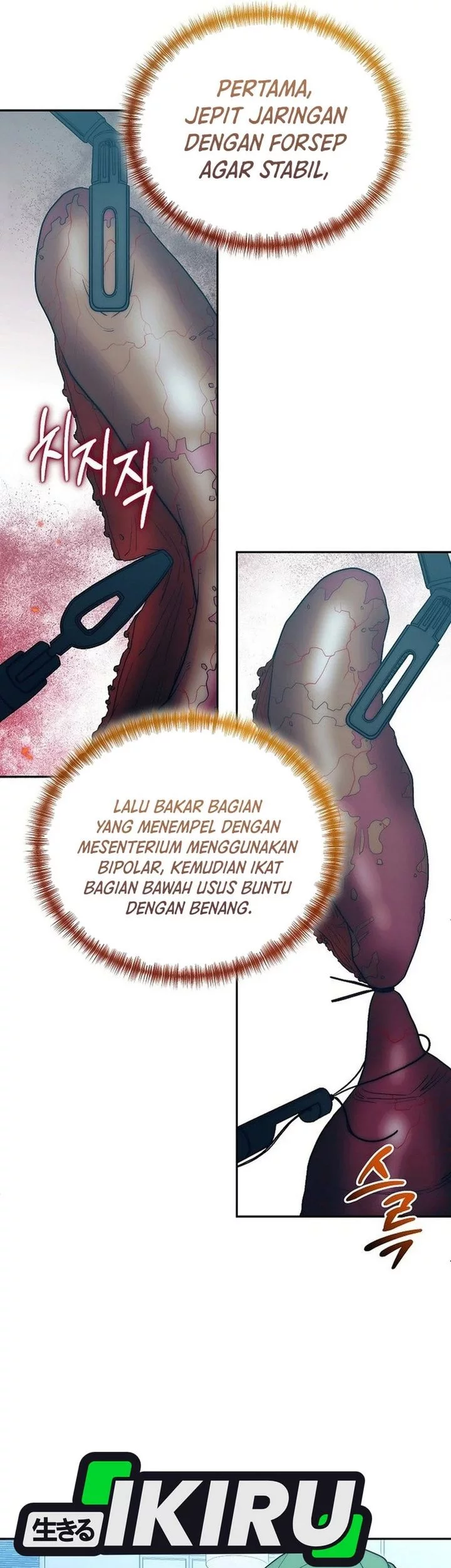 Halaman 43