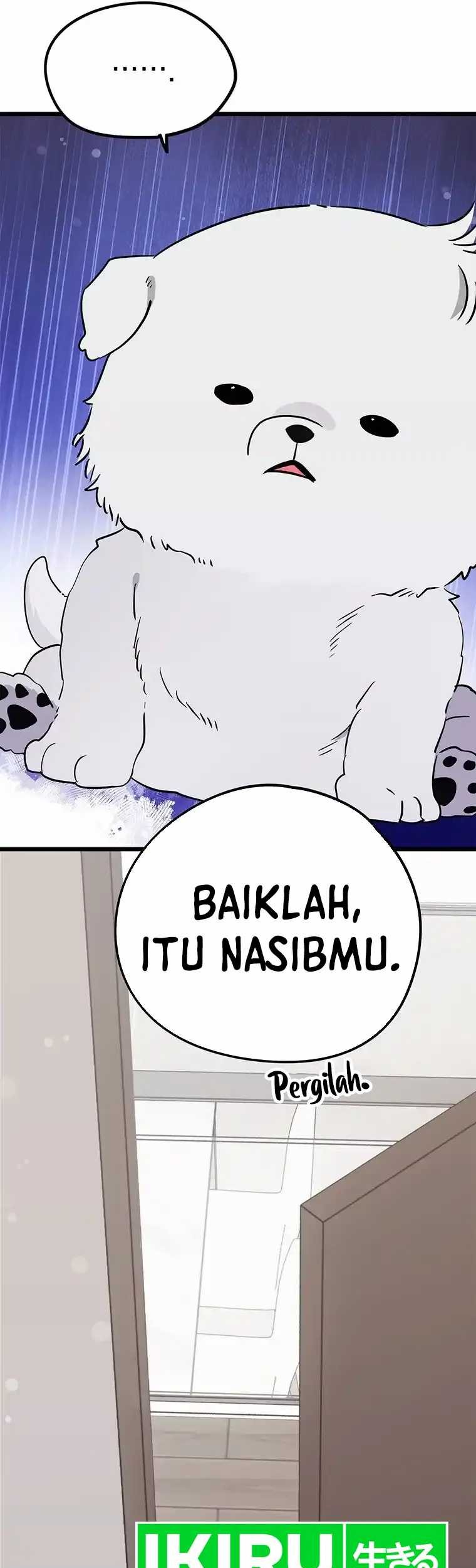Halaman 43