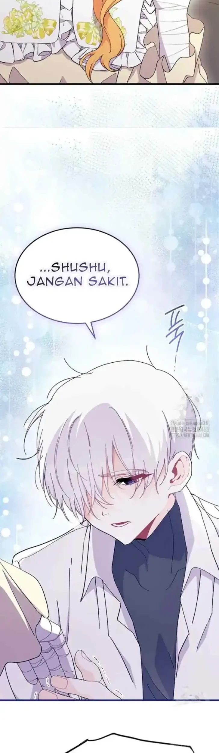 Halaman 91
