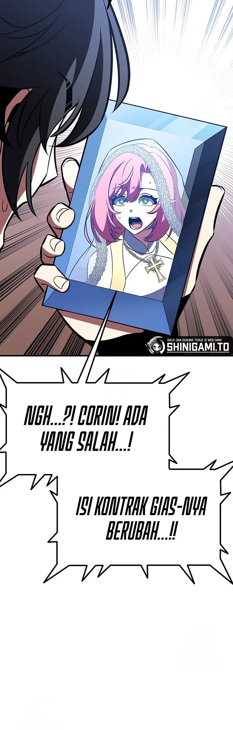 Halaman 233