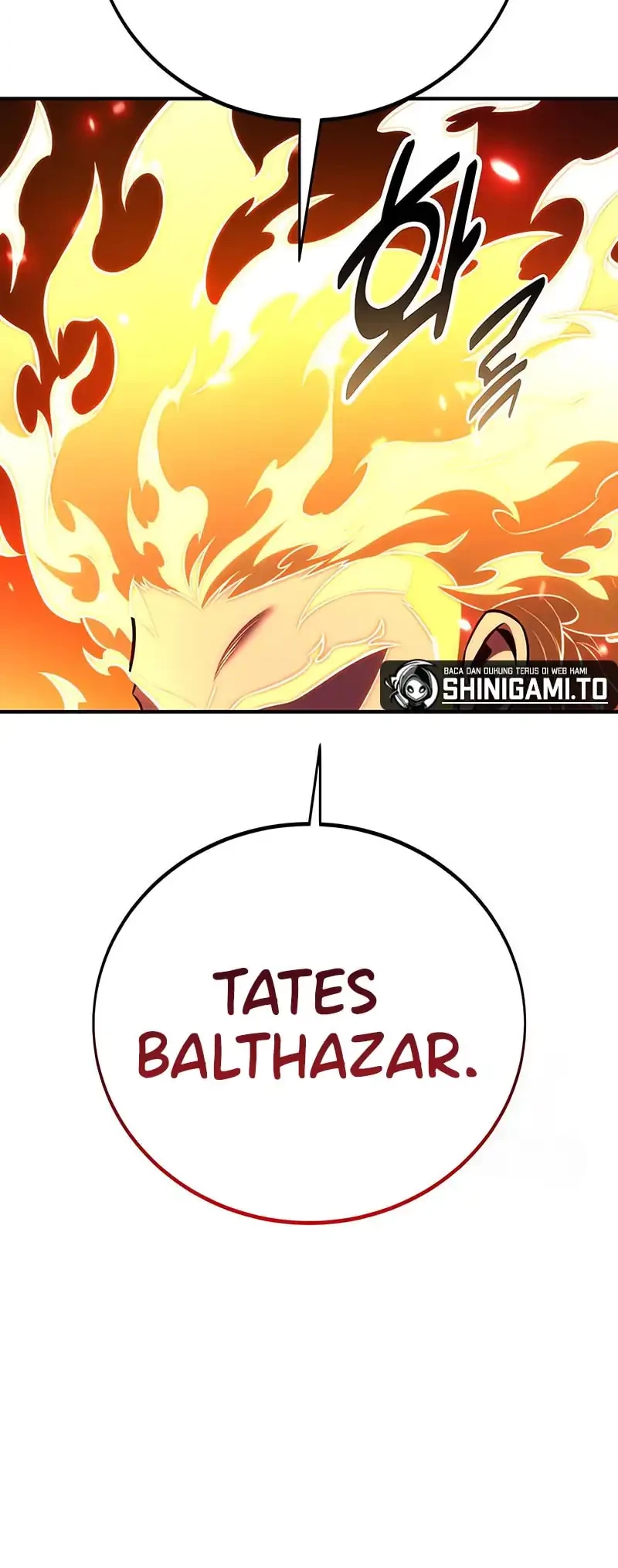 Halaman 223