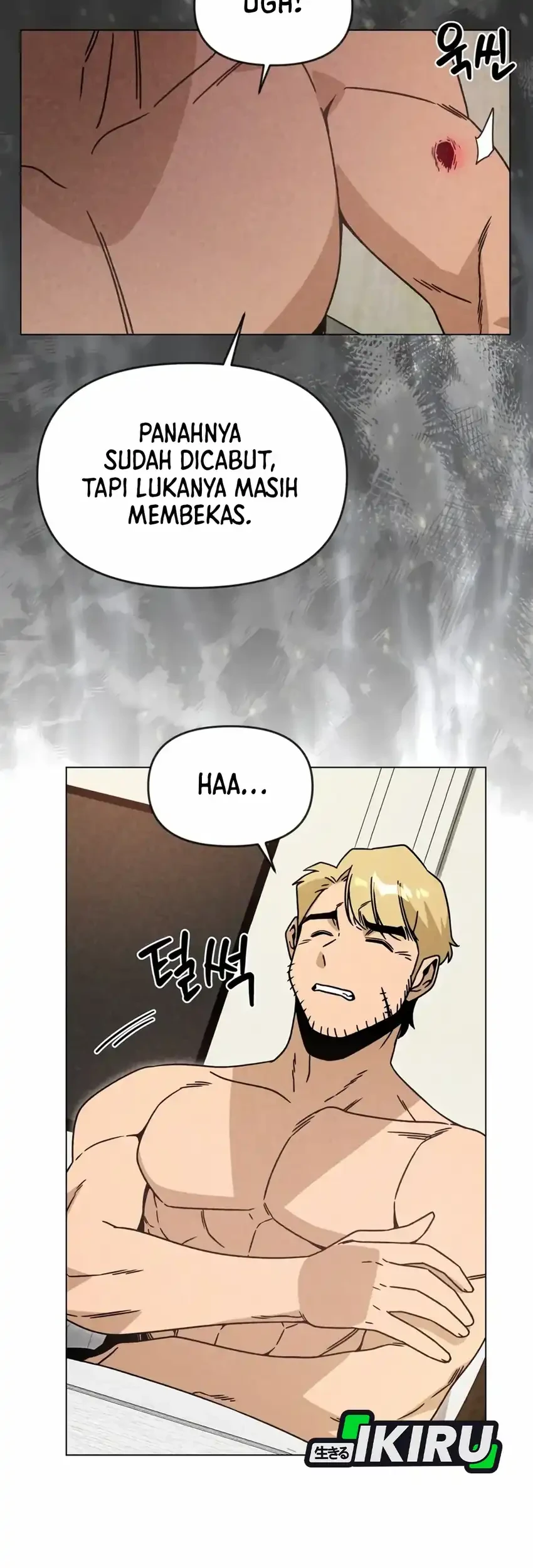 Halaman 43