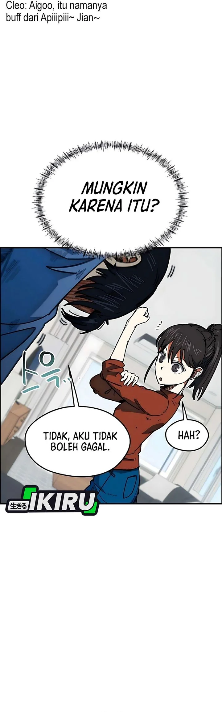 Halaman 17