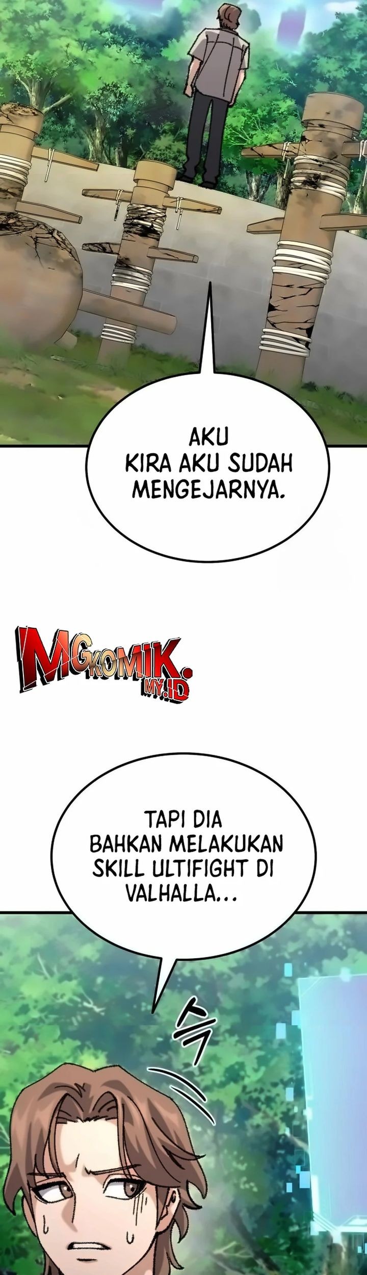 Halaman 17