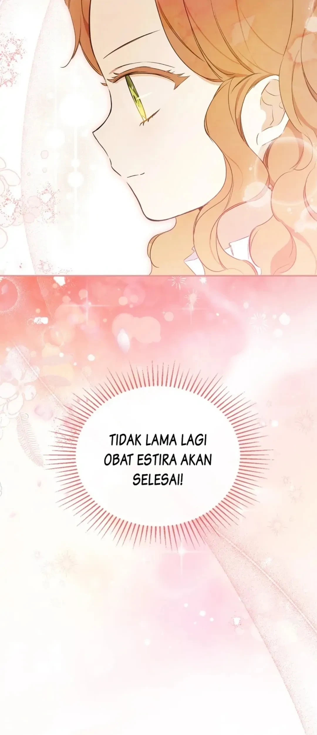 Halaman 91