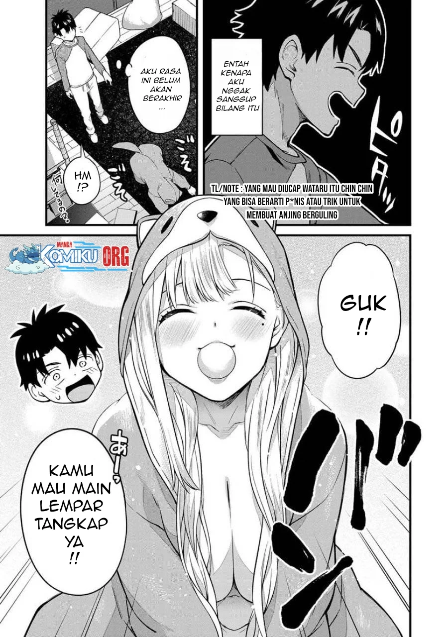 Halaman 17