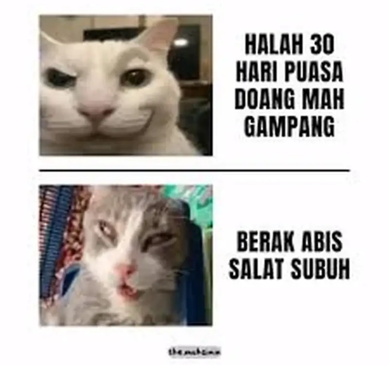 Halaman 363